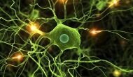 Multiple Sclerosis is incurable, but science is getting closer solving it
