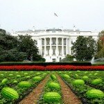 watermelon_white_house