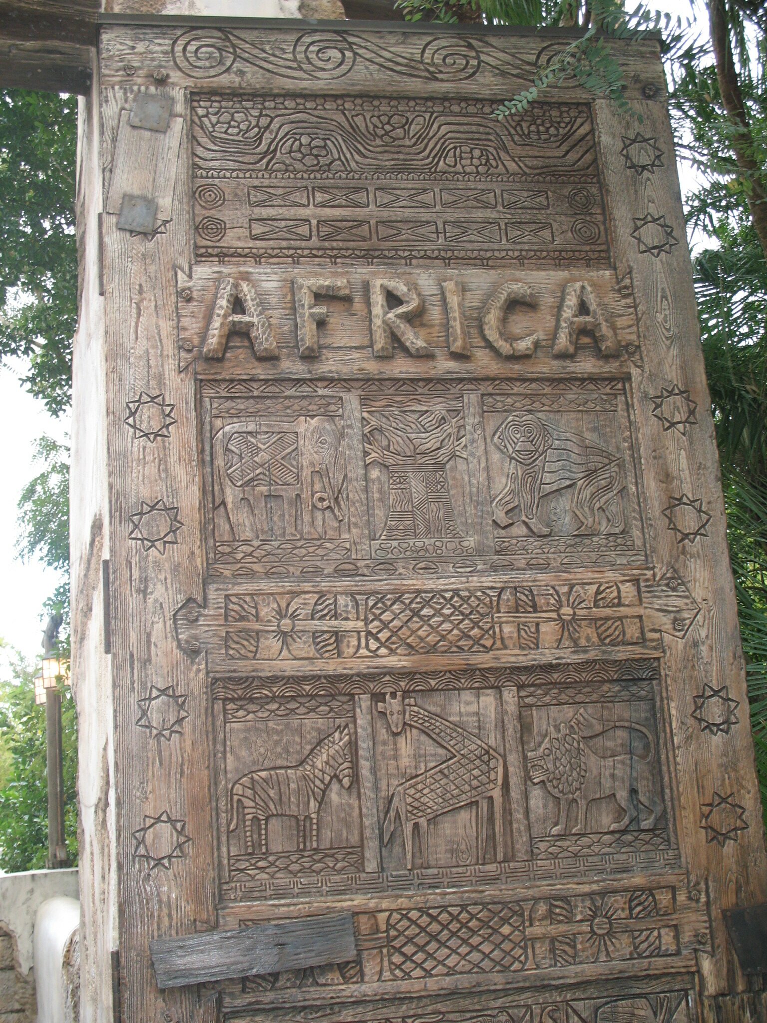 Africa closeup